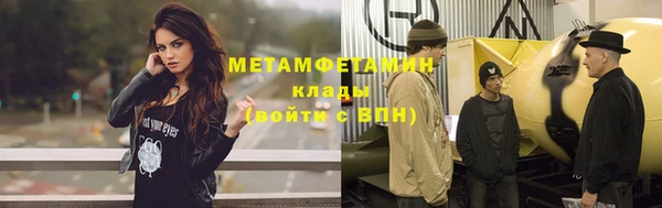 прущие грибы Навашино