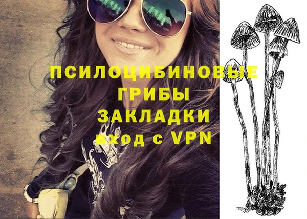 стафф Михайловка