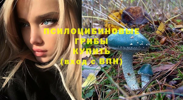 прущие грибы Навашино