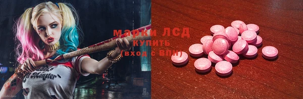 прущие грибы Навашино