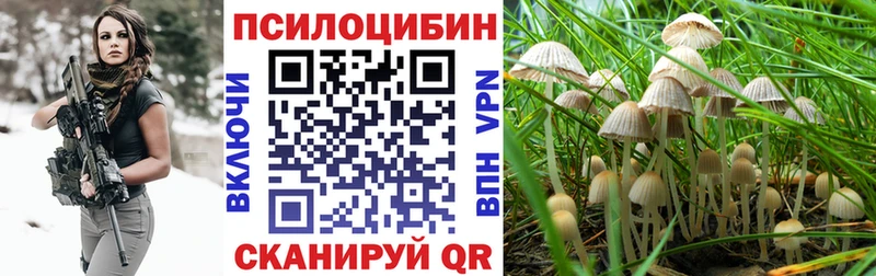 Галлюциногенные грибы прущие грибы  Уварово 