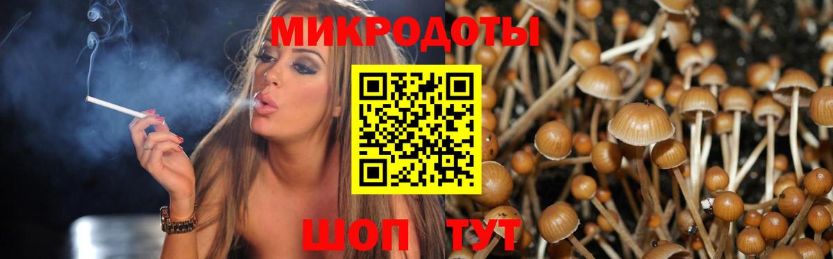 Уварово  Псилоцибиновые грибы мицелий  Вход с VPN  Галлюциногенные грибы Cubensis 